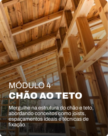modulo4_cao_ao_teto